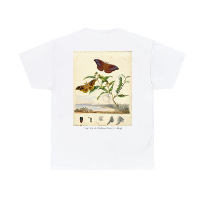 Lepidoptera 2 by Harriet & Helena Scott (1864)